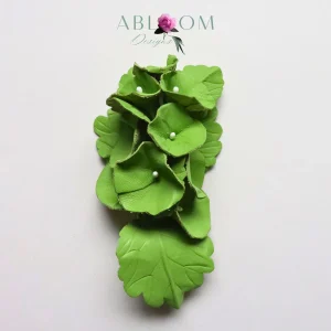 Bells of Ireland- Lime Leather