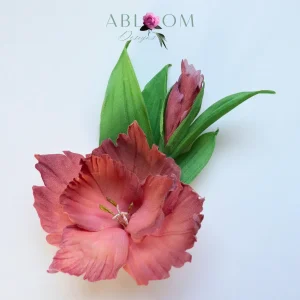 Gladiolus- Salmon Pink Silk